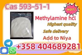 CAS 593-51-1 Methylamine hydrochloride Factory Supply High Purity 100% Safe Delivery   